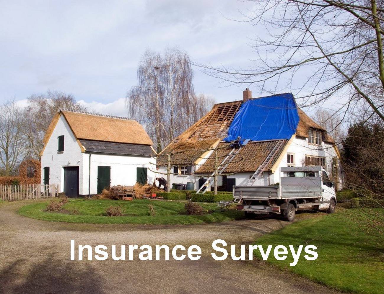 insurance surveys for thatching thatched roof