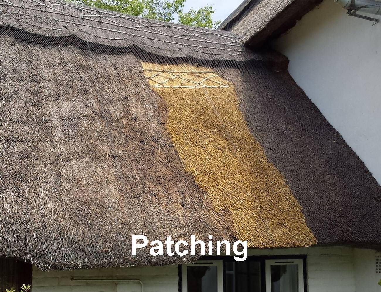 Patching Thatched Roof